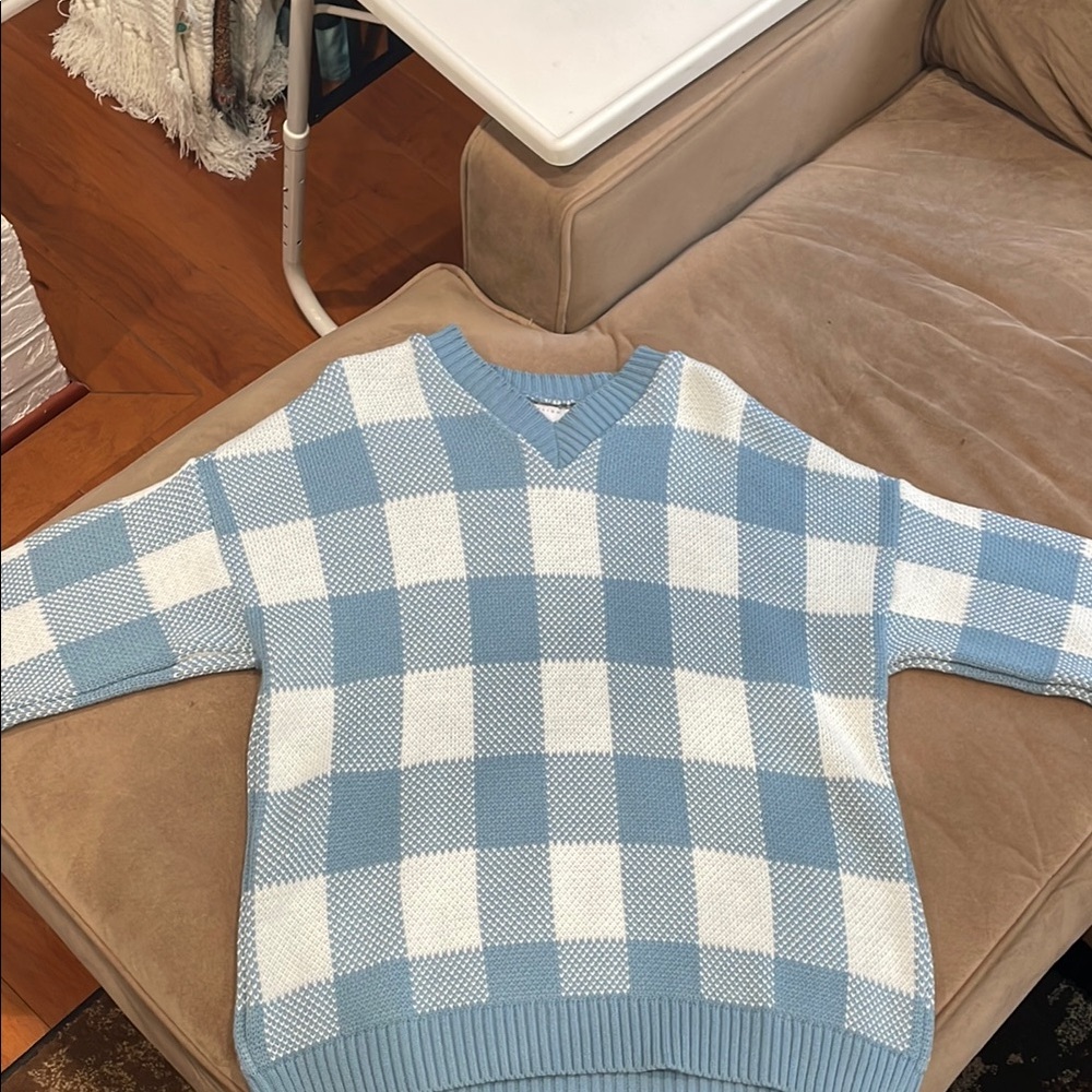 Blue and White Checkered Men's Sweater